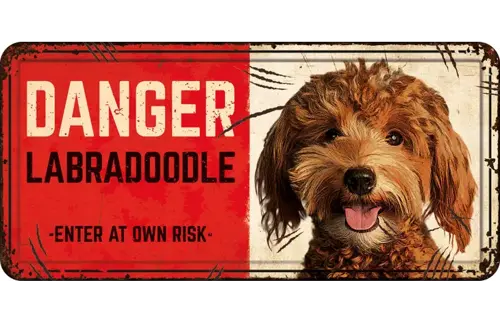 Plenty gifts Bord blik hl danger labradoodle