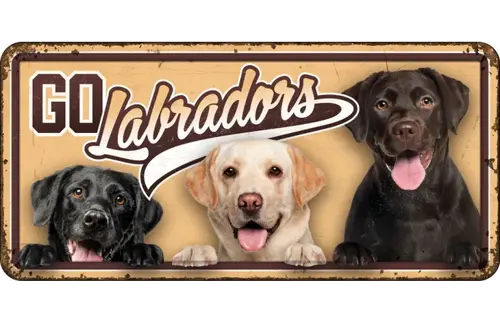 Plenty gifts Bord blik hl go labradors