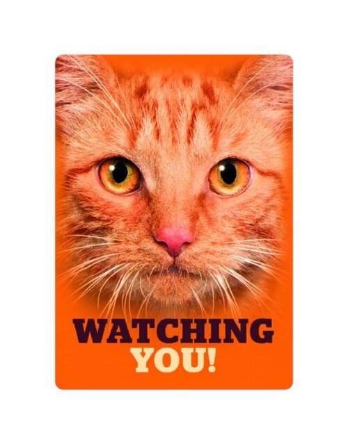 Plenty gifts Bord blik orange tabby eyes