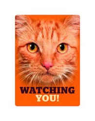 Plenty gifts Bord blik orange tabby eyes