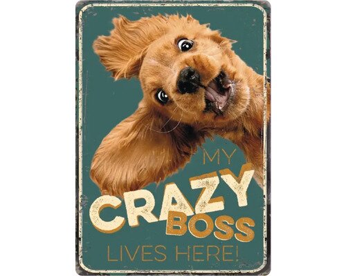 Plenty gifts Bordje metaal crazy boss
