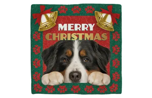 Plenty gifts Deco tegel xmas bernese