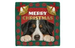 Plenty gifts Deco tegel xmas bernese
