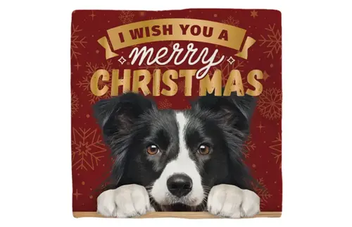 Plenty gifts Deco tegel xmas border collie