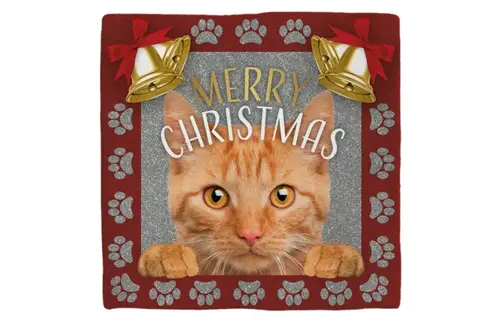 Plenty gifts Deco tegel xmas cat red