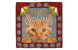 Plenty gifts Deco tegel xmas cat red