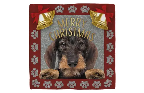 Plenty gifts Deco tegel xmas dachshund wire