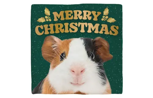 Plenty gifts Deco tegel xmas guinea pig