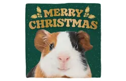 Plenty gifts Deco tegel xmas guinea pig