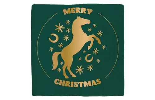 Plenty gifts Deco tegel xmas horse