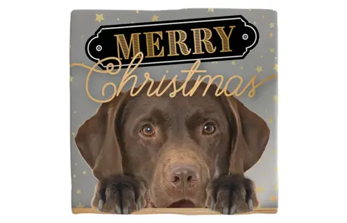 Plenty gifts Deco tegel xmas labrador