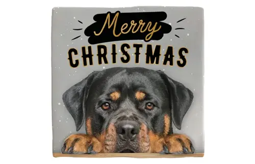 Plenty gifts Deco tegel xmas rottweiler