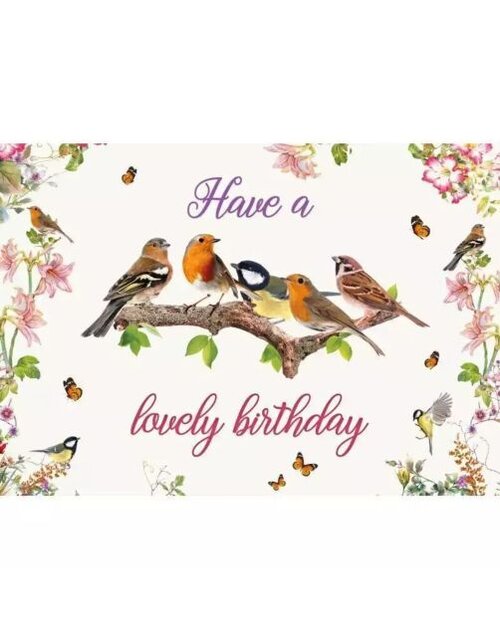 Plenty gifts Kaart a5 birthday garden birds