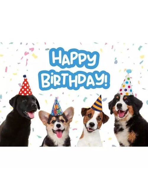 Plenty gifts Kaart a5 birthday puppies