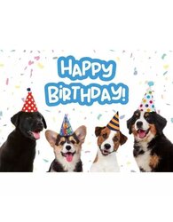 Plenty gifts Kaart a5 birthday puppies