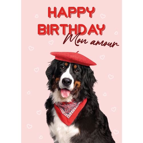 Plenty gifts Kaart a5 happy bday mon amour