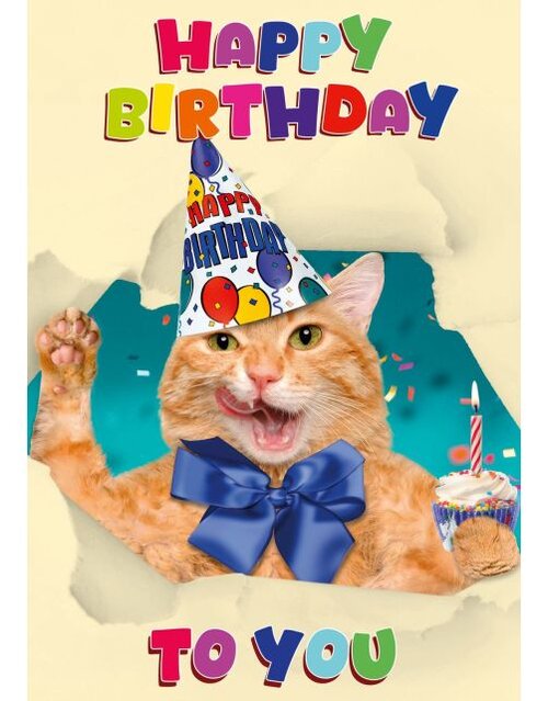Plenty gifts Kaart a5 happy birthday cat (v)