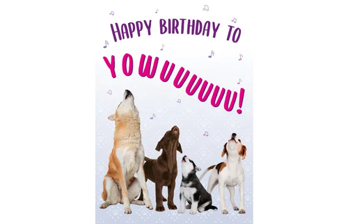 Plenty gifts Kaart a5 happy birthday dogs