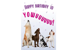 Plenty gifts Kaart a5 happy birthday dogs