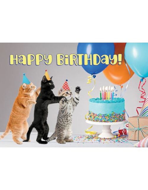 Plenty gifts Kaart a5 happy birthday kittens (h)
