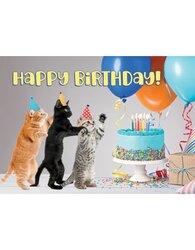 Plenty gifts Kaart a5 happy birthday kittens (h)