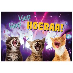 Plenty Gifts Kaart a5 hiep hiep hoeraa!