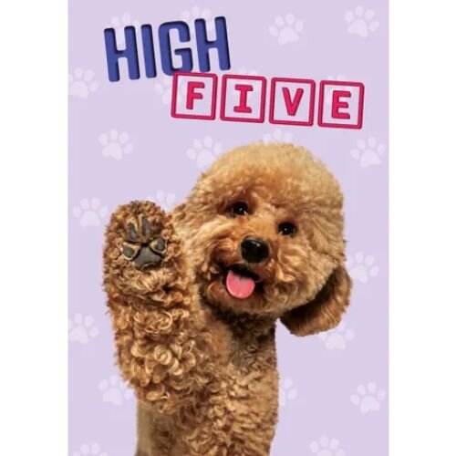 Plenty gifts Kaart a5 high five