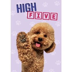 Plenty gifts Kaart a5 high five
