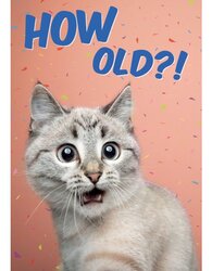 Plenty gifts Kaart a5 how old cat (v)