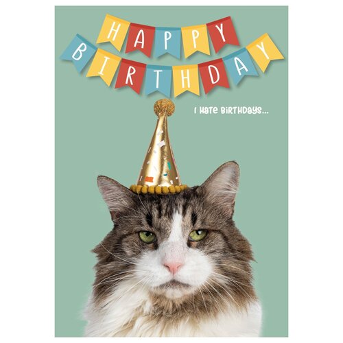 Plenty Gifts Kaart a5 i hate birthdays