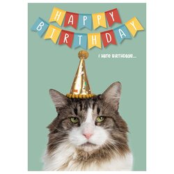 Plenty Gifts Kaart a5 i hate birthdays