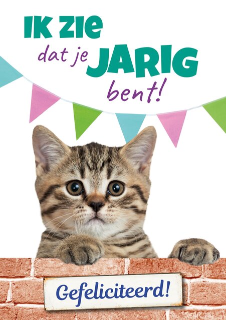 Plenty Gifts Kaart a5 jarig grijze kat