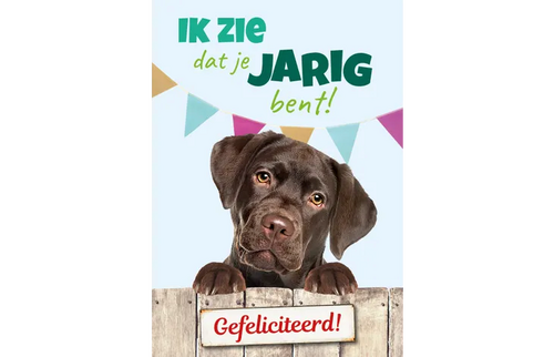Plenty gifts Kaart a5 jarig labrador