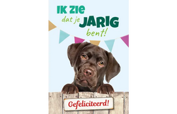 Plenty gifts Kaart a5 jarig labrador