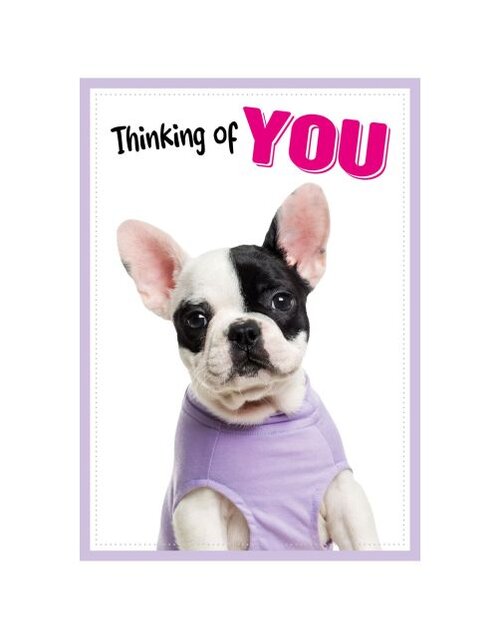 Plenty gifts Kaart a5 thinking of you frenchie