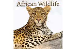 Plenty gifts Kalender 27 african wildlife as