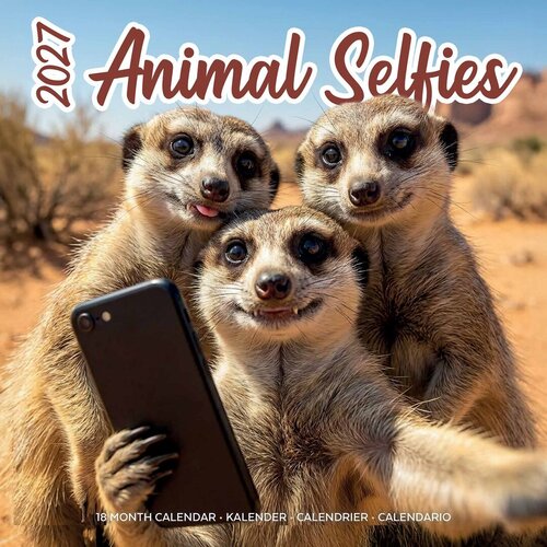 Plenty gifts Kalender 27 animal selfies pg