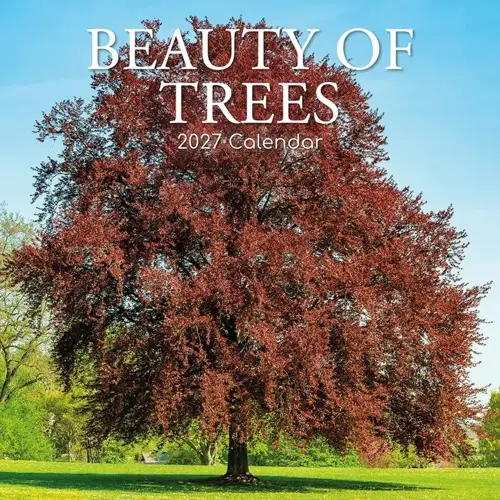 Plenty gifts Kalender 27 beauty of trees gtd