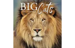 Plenty gifts Kalender 27 big cats gtd