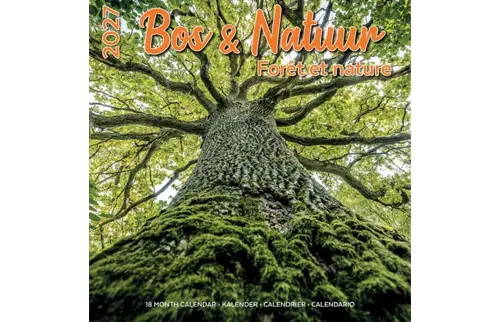 Plenty gifts Kalender 27 bos en natuur pg