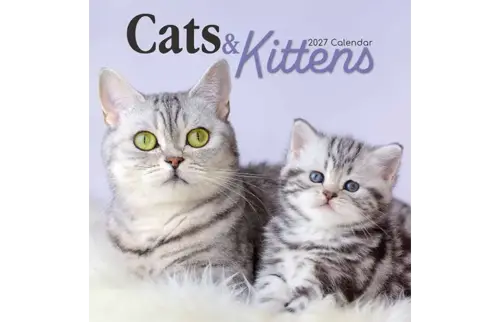 Plenty gifts Kalender 27 cat & kittens gtd