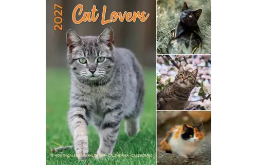 Plenty gifts Kalender 27 cat lovers pg