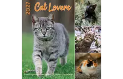 Plenty gifts Kalender 27 cat lovers pg