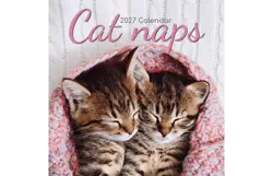 Plenty gifts Kalender 27 cat naps gtd