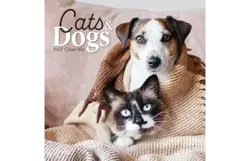 Plenty gifts Kalender 27 cats & dogs gtd