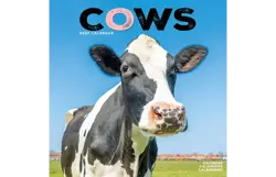 Plenty gifts Kalender 27 cows as