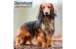 Plenty gifts Kalender 27 dachshunds long as