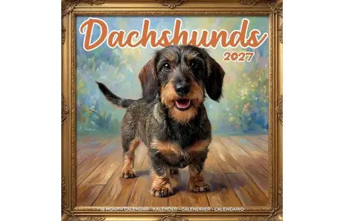 Plenty gifts Kalender 27 dachshunds studio pg