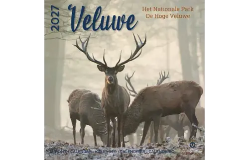 Plenty gifts Kalender 27 de veluwe pg