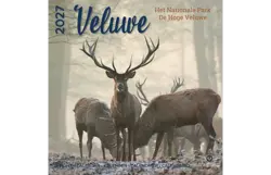 Plenty gifts Kalender 27 de veluwe pg